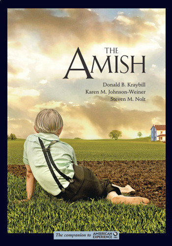 The Amish 1st Edition Kraybill Donald B Johnsonweiner Karen M