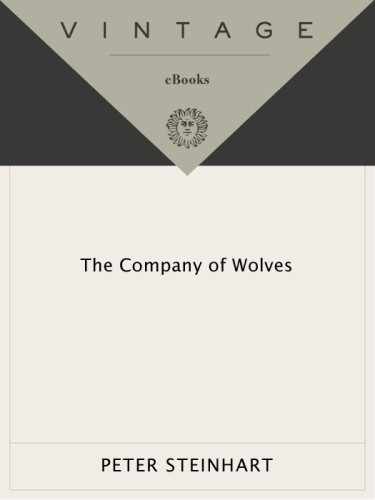 The Company Of Wolves Steinhart Peter