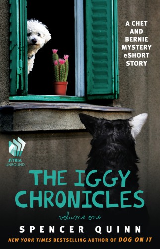 The Iggy Chronicles Volume One Quinn Spencer