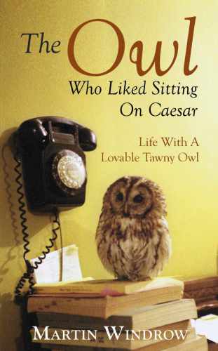 The Owl Who Liked Sitting On Caesar Windrow Martin