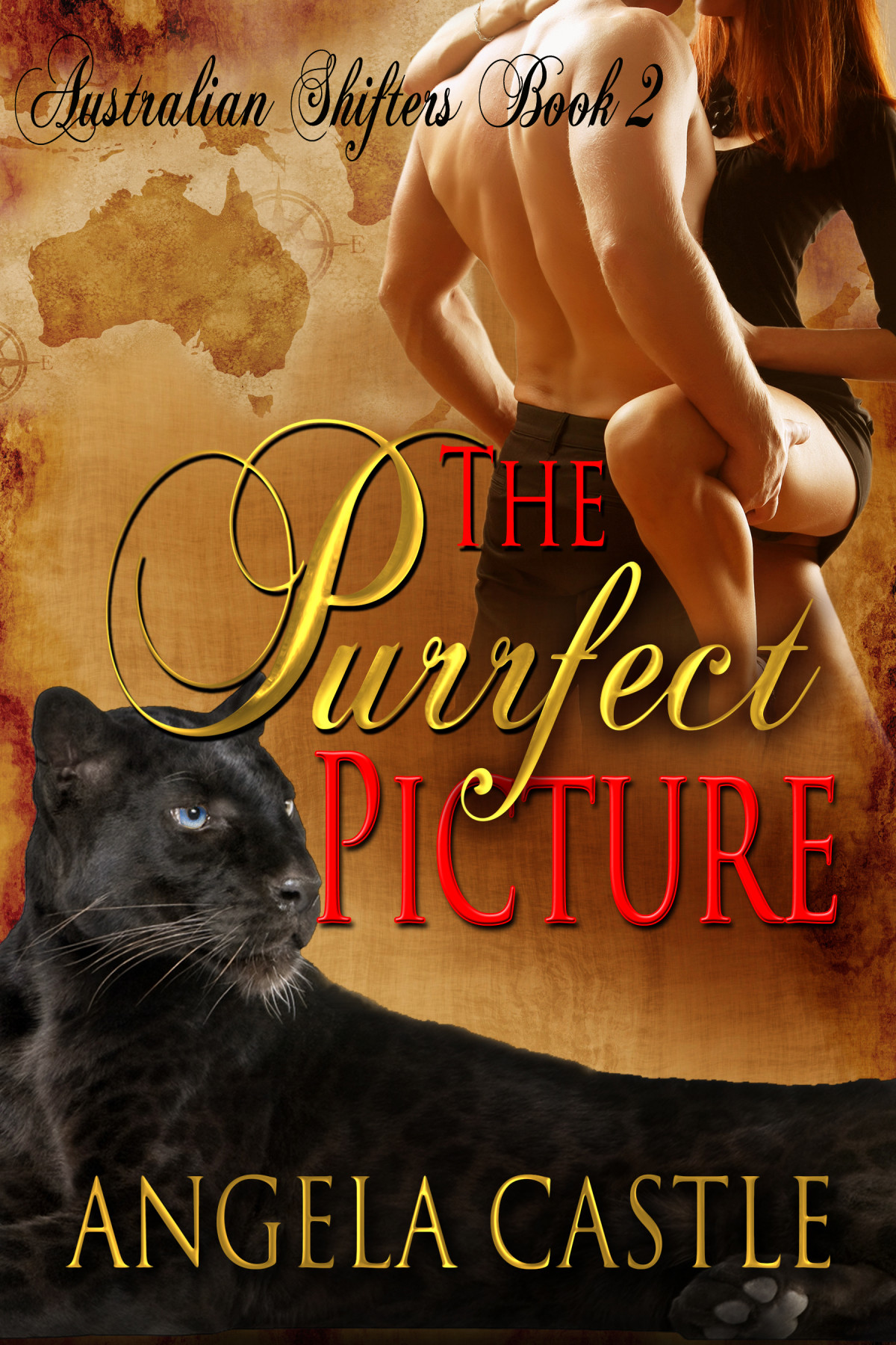 The Purrfect Picture Castle Angela
