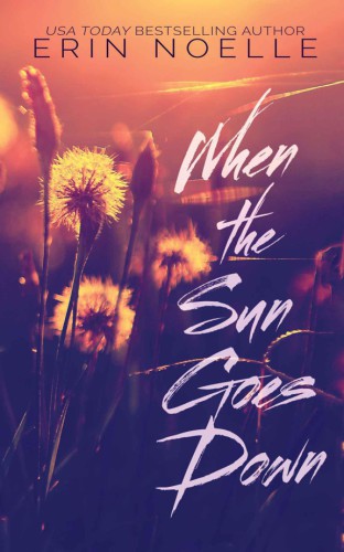 When The Sun Goes Down Noelle Erin