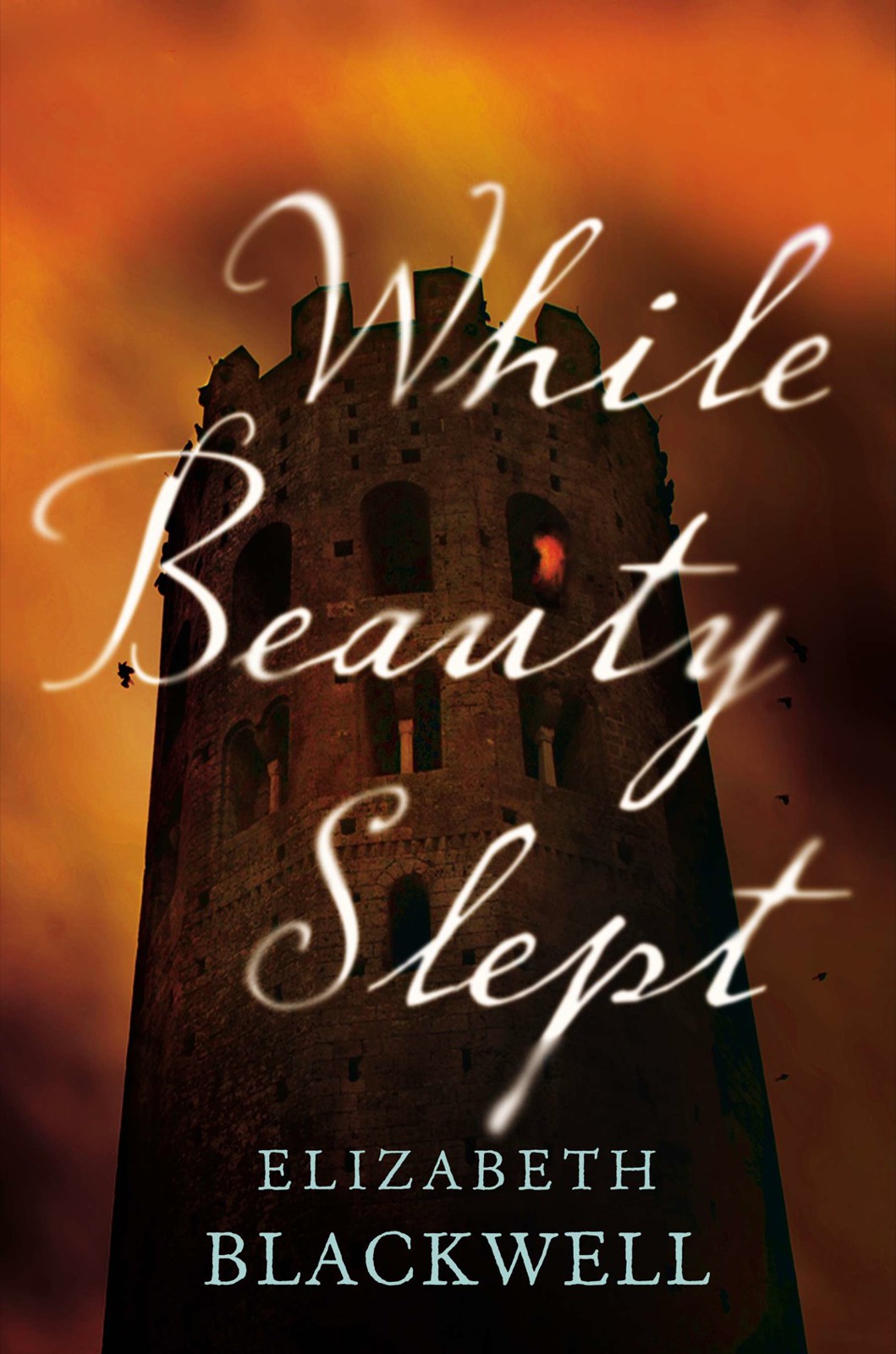 While Beauty Slept Blackwell Elizabeth
