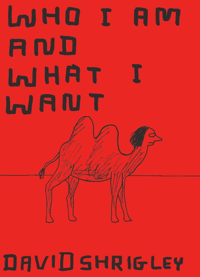 Who I Am And What I Want David Shrigley