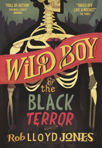 Wild Boy And The Black Terror Jones Rob Lloyd