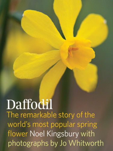 Daffodil Discover The Remarkable Story Of The Worlds Most Popular Spring Flower Noel Kingsbury