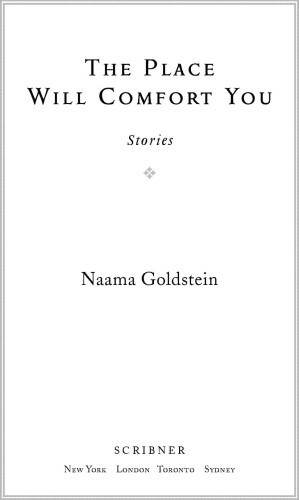 The Place Will Comfort You Stories Goldstein Naama