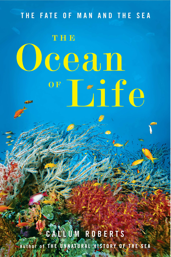 The Ocean Of Life The Fate Of Man And The Sea Roberts Callum