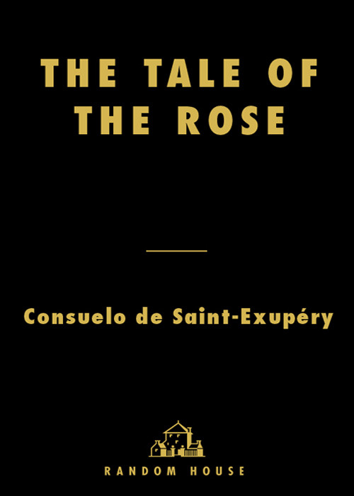 The Tale Of The Rose The Passion That Inspired The Little Prince 2001 Consuelo De Saintexupery