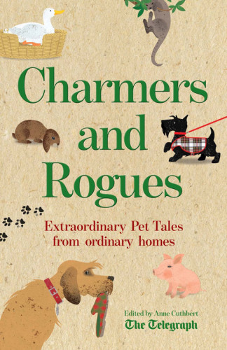 Charmers And Rogues Anne Cuthbertson