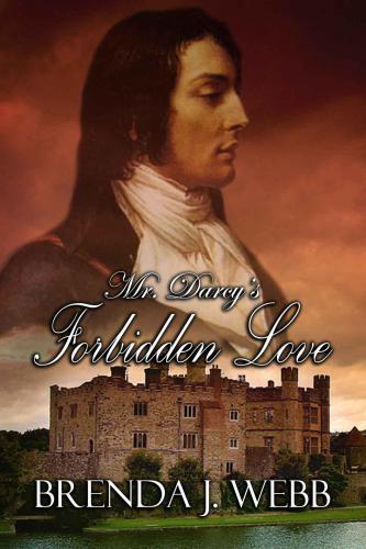 Mr Darcys Forbidden Love Brenda J Webb