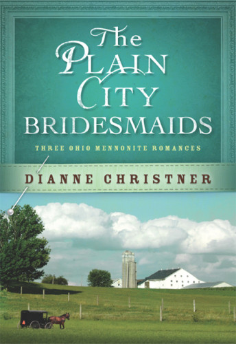 Something Old Something New Something Blue Christner Dianne
