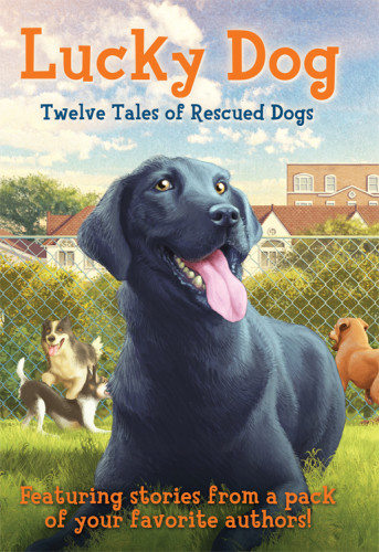 Lucky Dog Twelve Tales Of Rescue Dogs Kimmel Elizabeth Cody Larson Kirby Sutherland Tui T