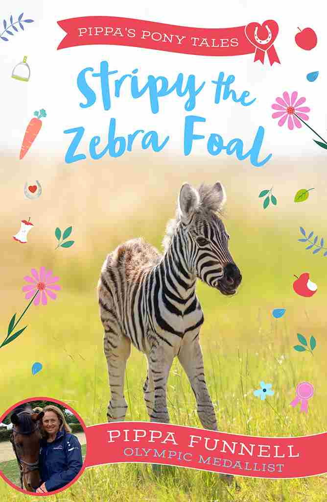 Stripy The Zebra Foal Pippa Funnell