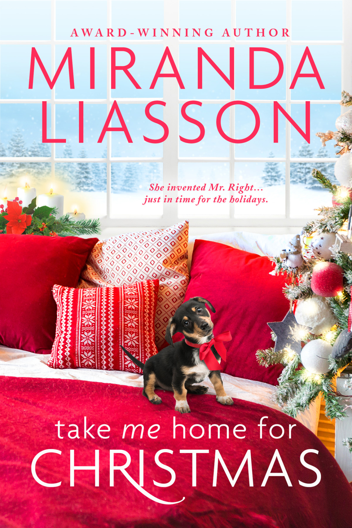 Take Me Home For Christmas A Heartwarming Smalltown Holiday Romance The Amazing Doctors Of Oak Bluff Book 1 Miranda Liasson