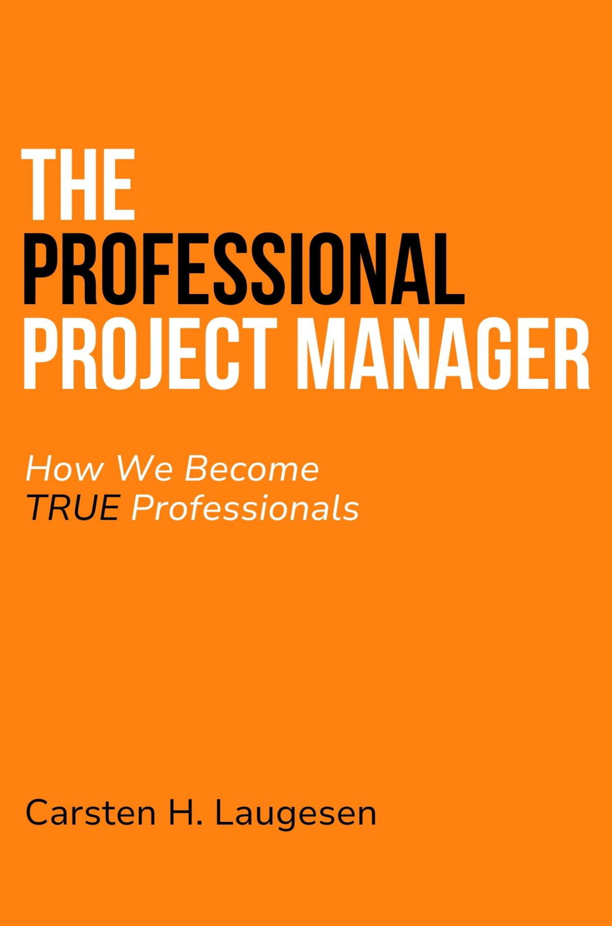 The Professional Project Manager How We Become True Professionals Carsten Hollænder Laugesen