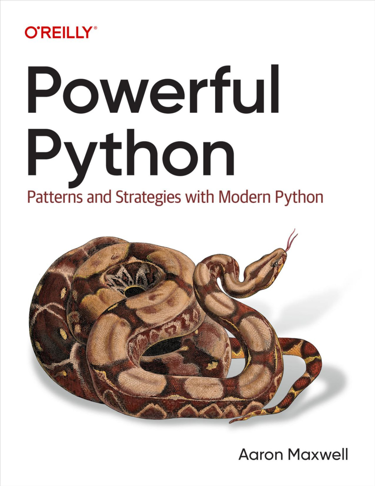 Powerful Python Patterns And Strategies With Modern Python Converted Aaron Maxwell