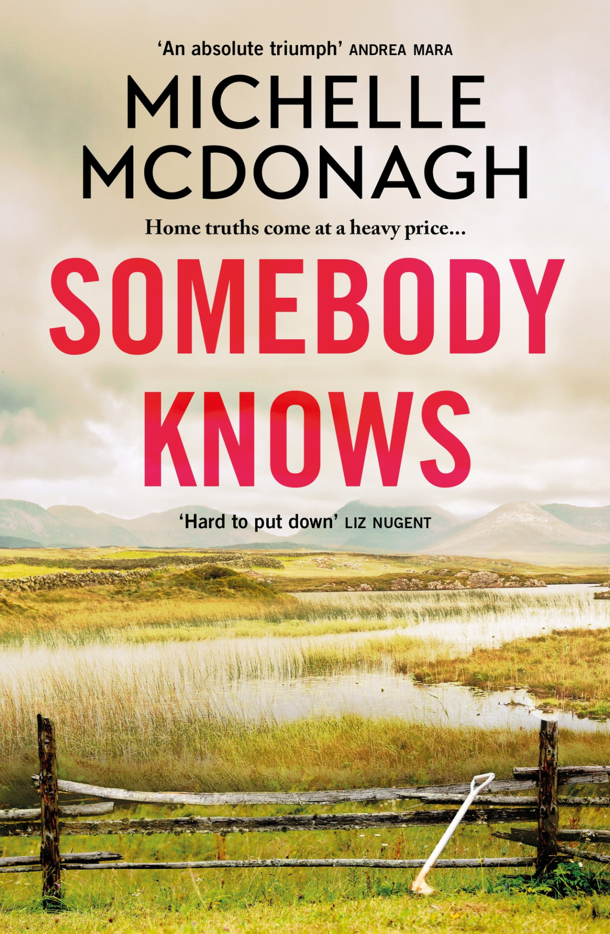 Somebody Knows Mcdonagh Michelle