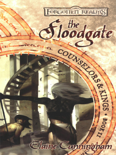 The Floodgate Elaine Cunningham