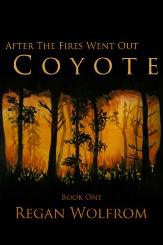 After The Fires Went Out Wolfrom Regan