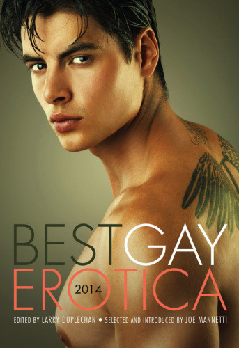 Best Gay Erotica 2014 Larry Duplechan
