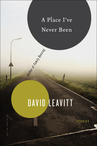 A Place Ive Never Been Stories David Leavitt