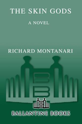 The Skin Gods Montanari Richard