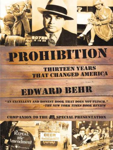 Prohibition Thirteen Years That Changed America Edward Behr