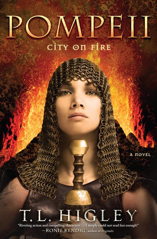Pompeii City On Fire Higley T L