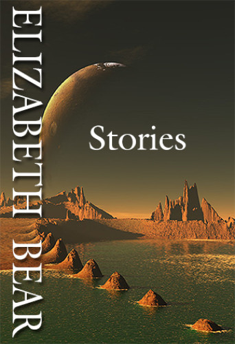 Stories Custom Short Story Collection Bear Elizabeth