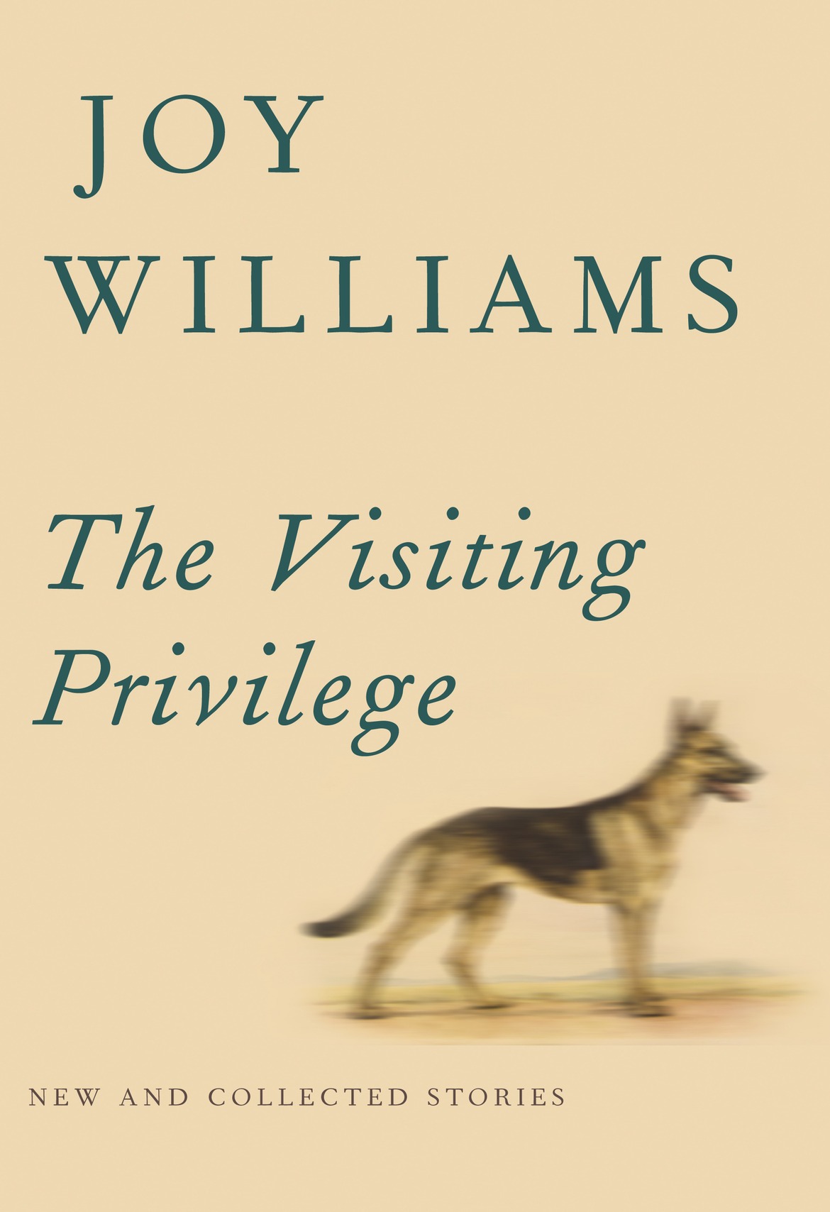The Visiting Privilege Joy Williams
