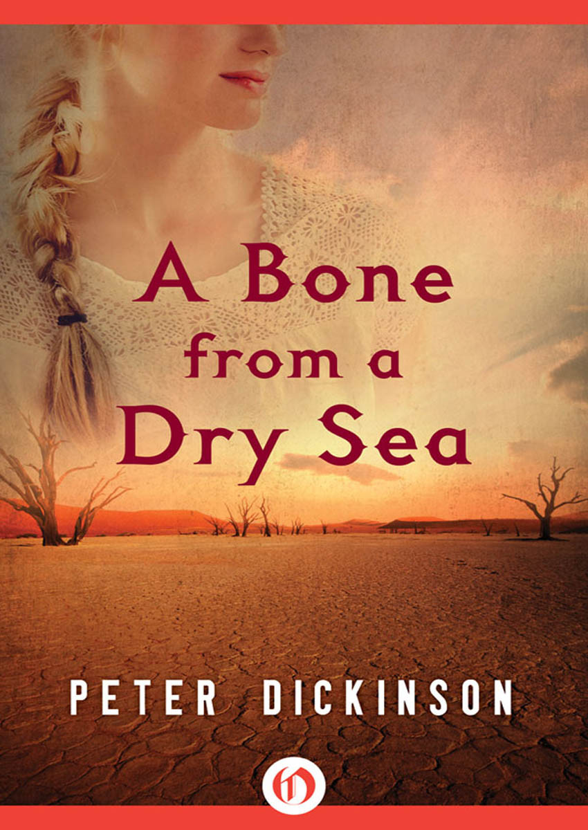 A Bone From A Dry Sea Us Dickinson Peter