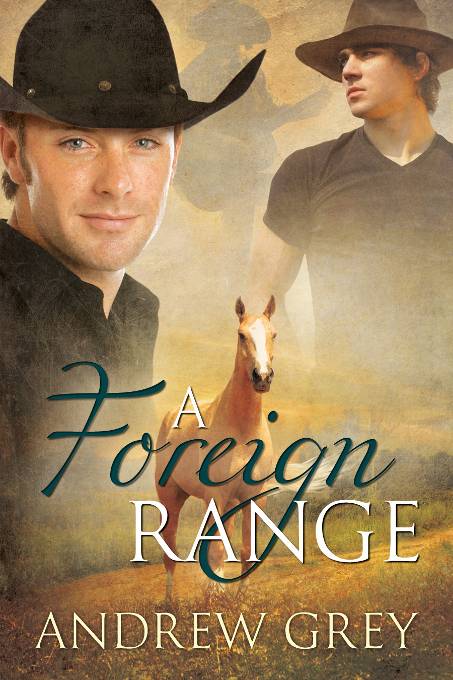 A Foreign Range Andrew Grey