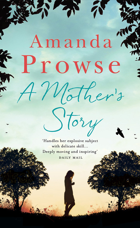 A Mothers Story Prowse Amanda