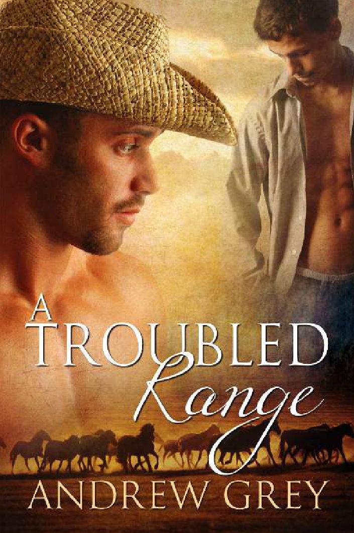 A Troubled Range Andrew Grey