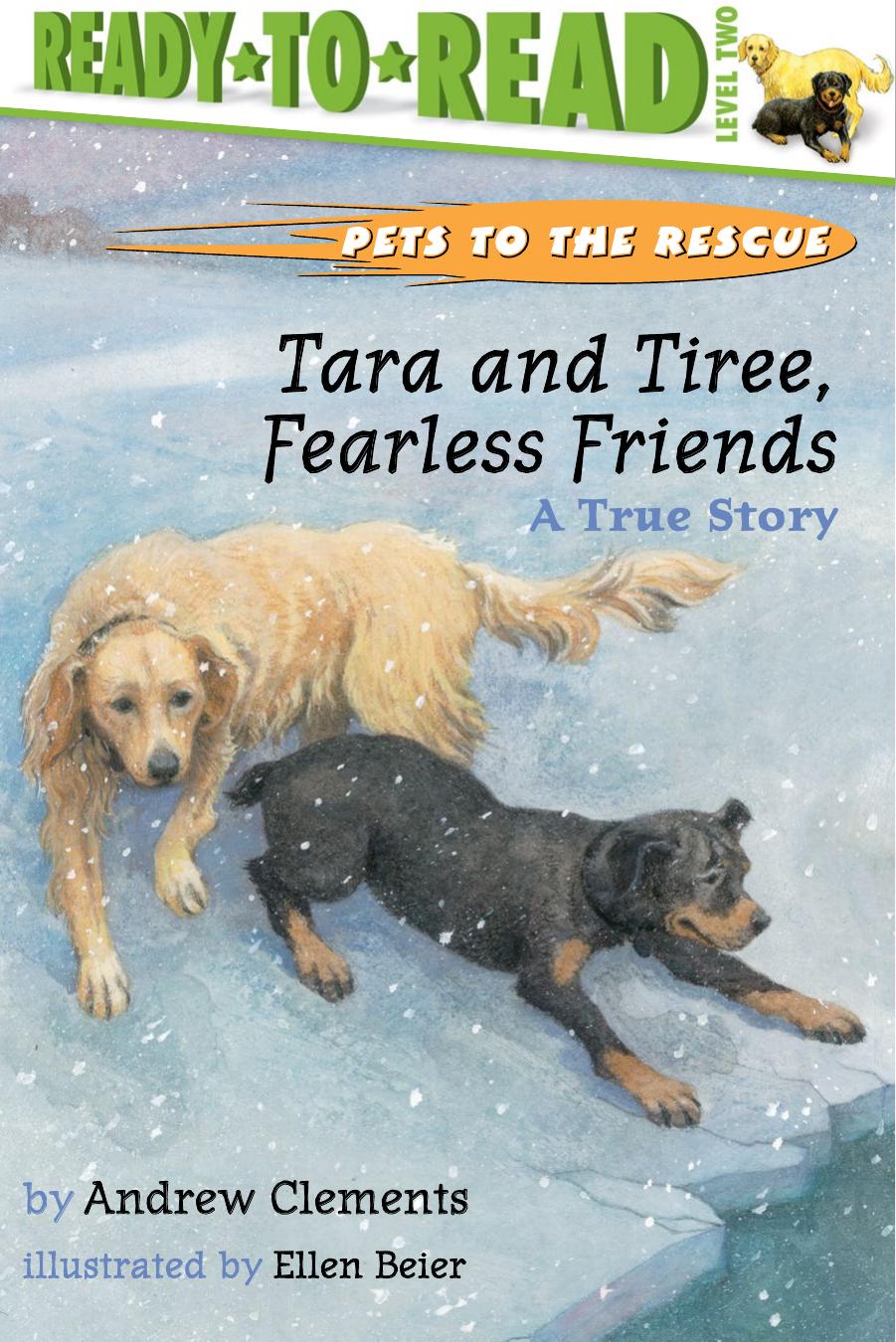 A True Story Ready To Read Level 2 Clements Andrew