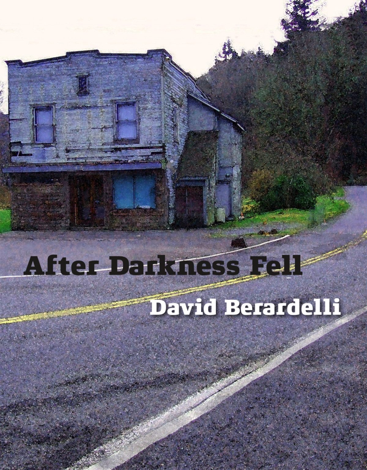After Darkness Fell Berardelli David