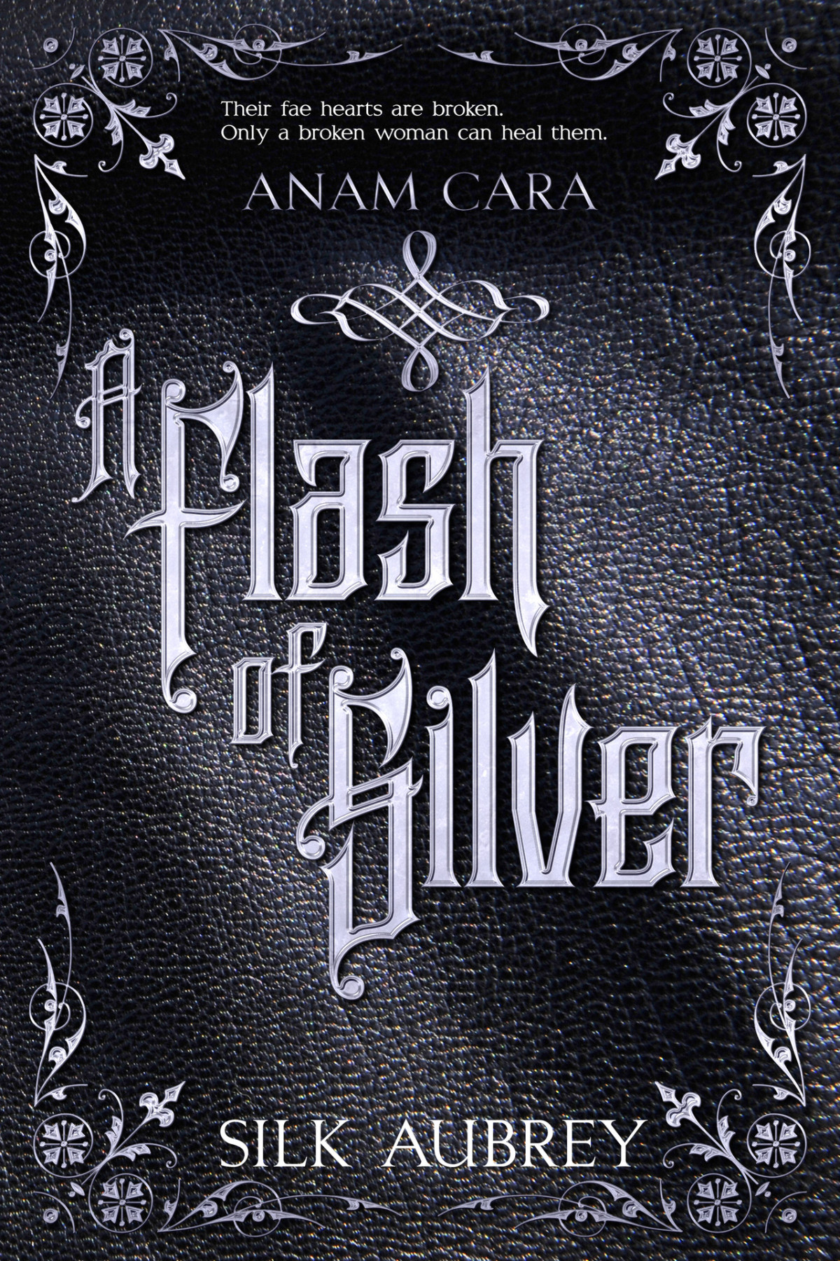 A Flash Of Silver A Slow Burn Sci Fi Fantasy Reverse Harem Series Silk Aubrey