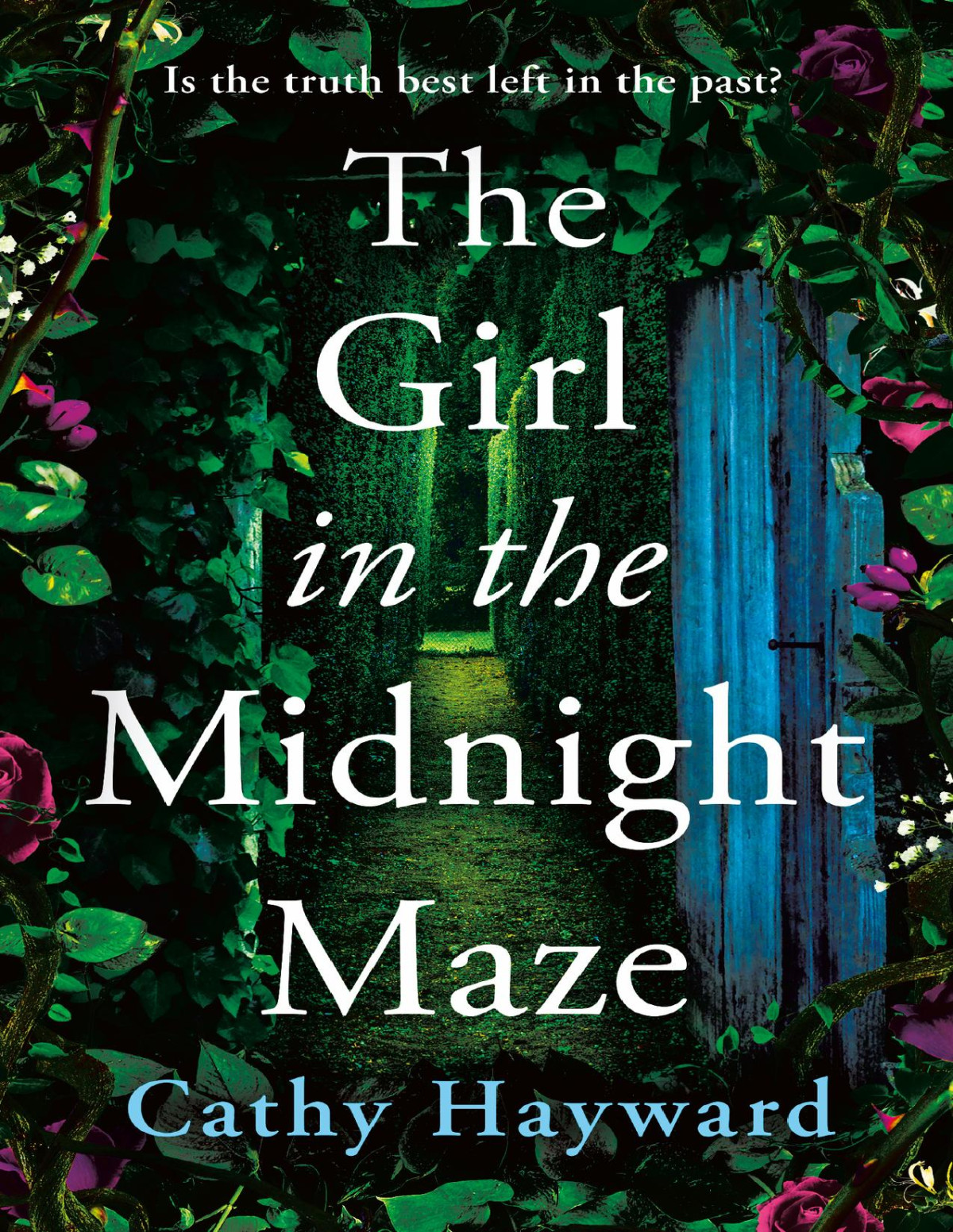 The Girl In The Midnight Maze Cathy Hayward