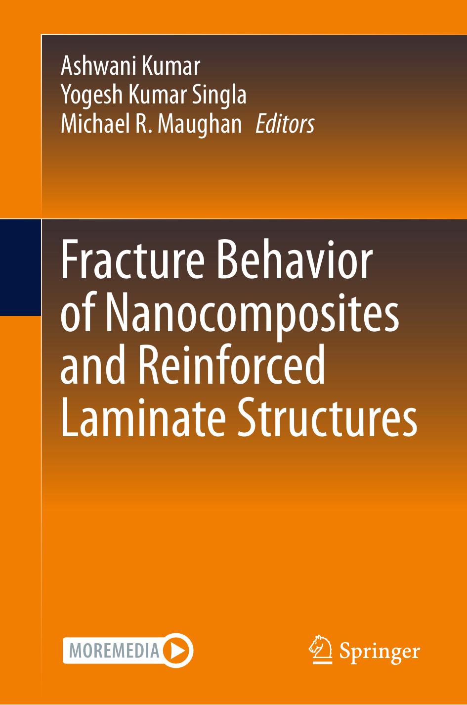 Fracture Behavior Of Nanocomposites And Reinforced Laminate Structures 1st Edition Ashwani Kumar