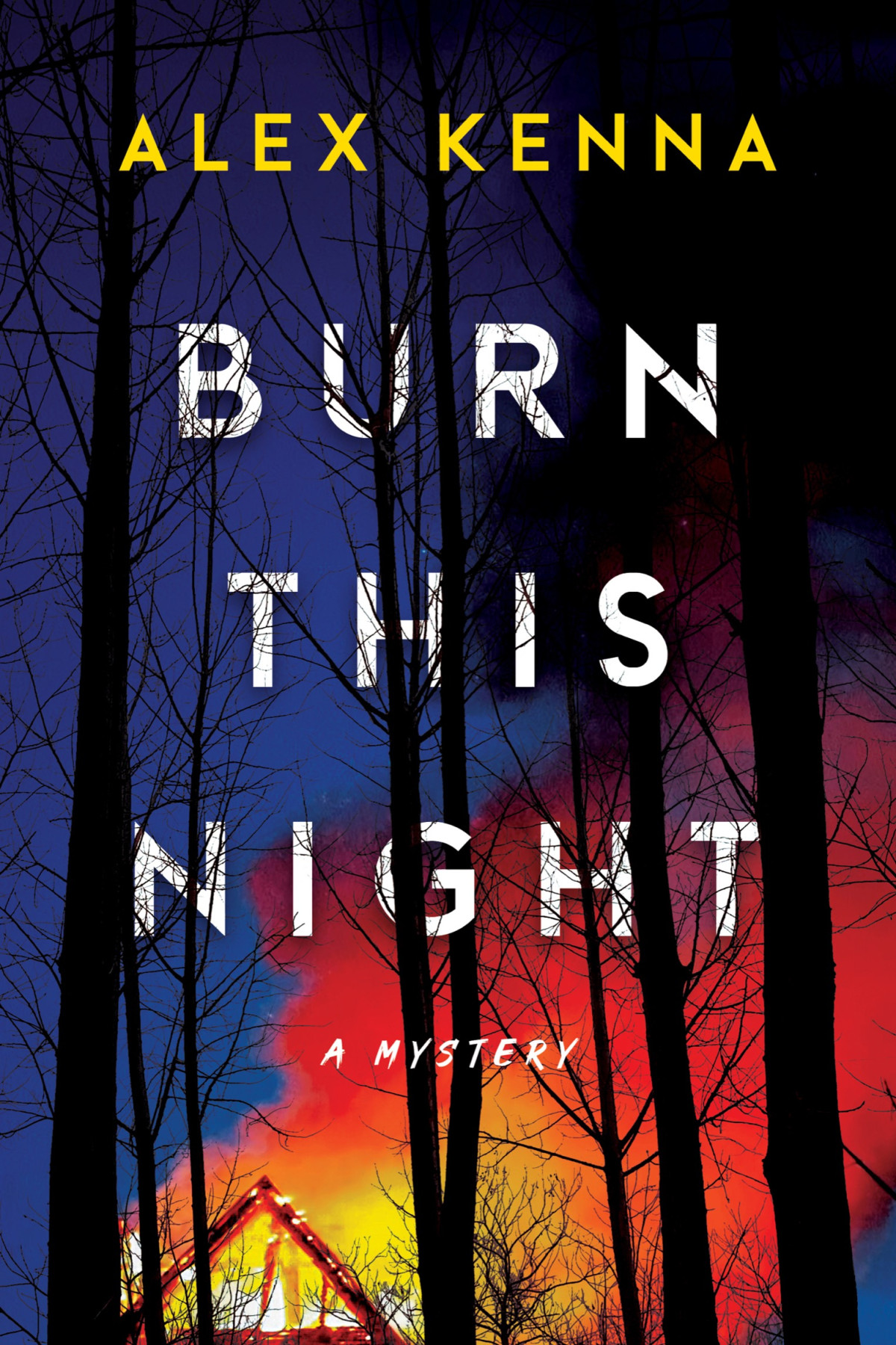 Burn This Night Alex Kenna