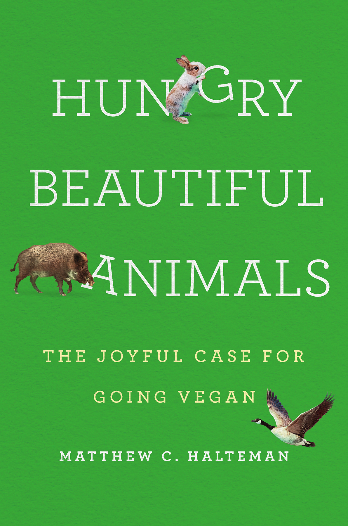 Hungry Beautiful Animals Matthew C Halteman