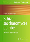Schizosaccharomyces Pombe Methods And Protocols Ruben C Petreaca