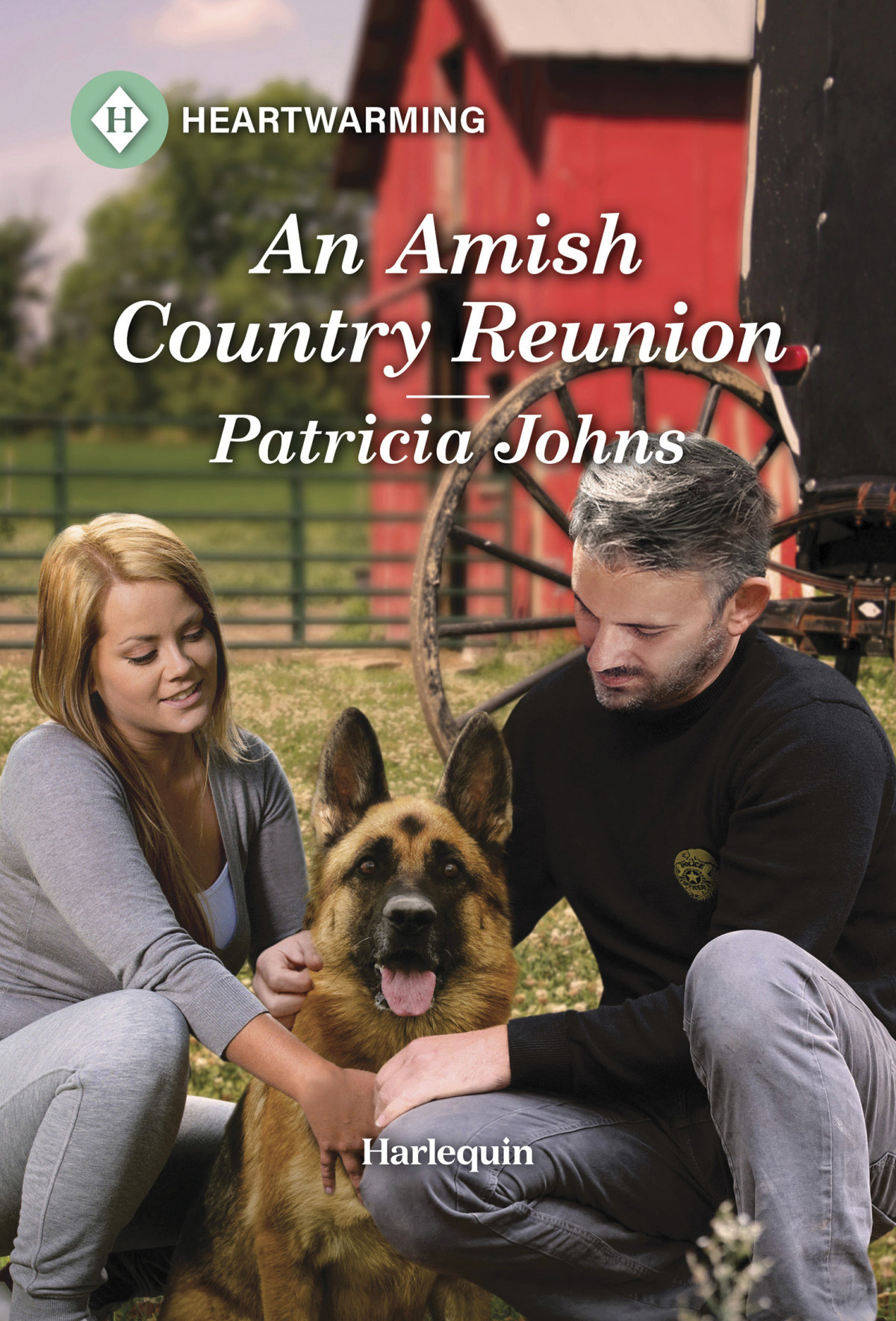 An Amish Country Reunion Patricia Johns
