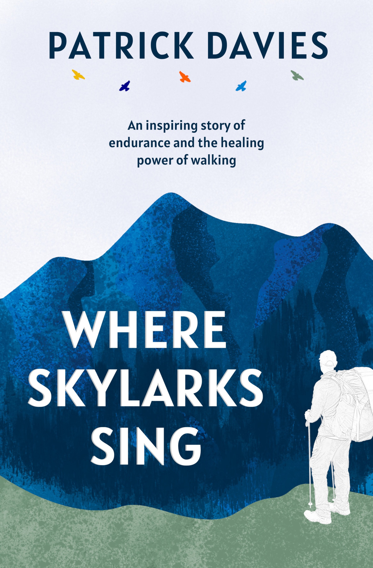 Where Skylarks Sing Patrick Davies