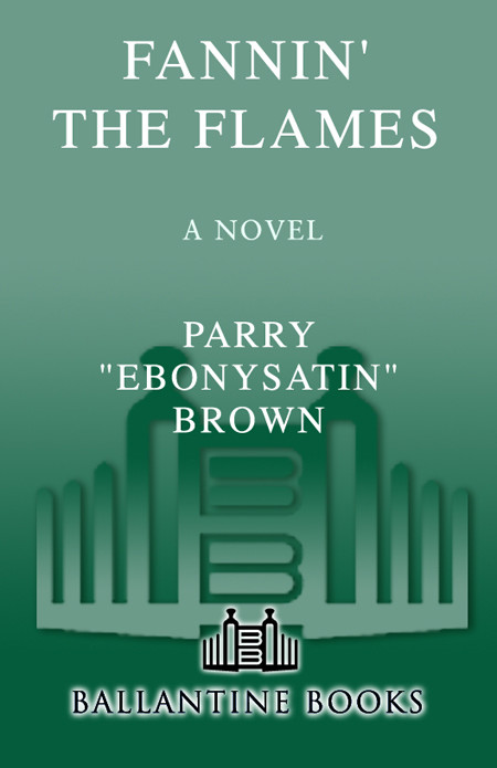Fannin The Flames A Novel Parry Ebonysatin Brown