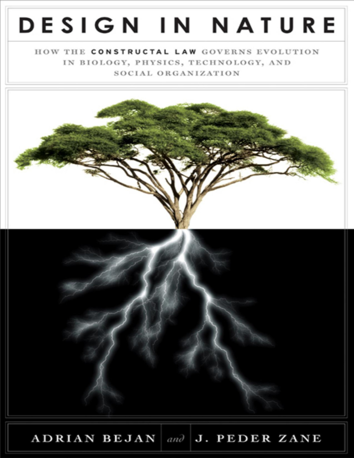 Design In Nature How The Constructal Law Governs Evolution In Biology Physics Technology And Social Organization 1st Adrian Bejan