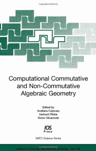 Computational Commutative And Noncommutative Algebraic Geometry Svetlana Cojocaru