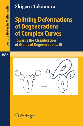 Splitting Deformations Of Degenerations Of Complex Curves Towards The Classification Of Atoms Of Degenerations Iii 1st Edition Shigeru Takamura Eds