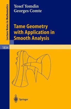 Tame Geometry With Application In Smooth Analysis 1st Edition Yosef Yomdin